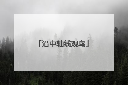 沿中轴线观鸟