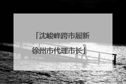 沈峻峰跨市履新徐州市代理市长