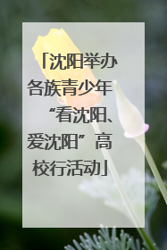 沈阳举办各族青少年“看沈阳、爱沈阳”高校行活动