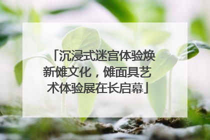 沉浸式迷宫体验焕新傩文化，傩面具艺术体验展在长启幕