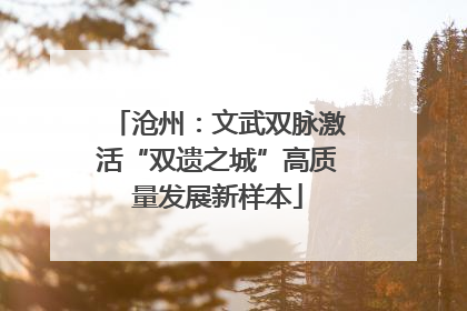 沧州：文武双脉激活“双遗之城”高质量发展新样本