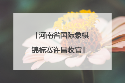 河南省国际象棋锦标赛许昌收官