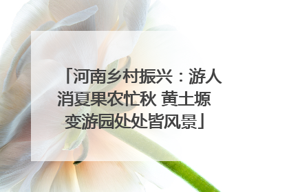 河南乡村振兴：游人消夏果农忙秋 黄土塬变游园处处皆风景
