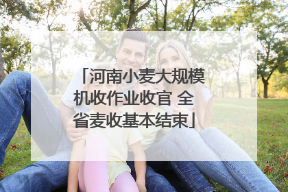 河南小麦大规模机收作业收官 全省麦收基本结束