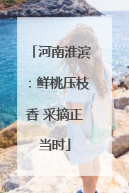河南淮滨：鲜桃压枝香 采摘正当时