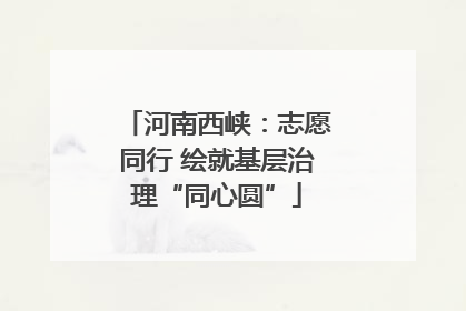 河南西峡：志愿同行 绘就基层治理“同心圆”