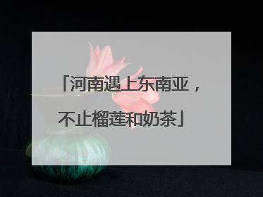 河南遇上东南亚，不止榴莲和奶茶