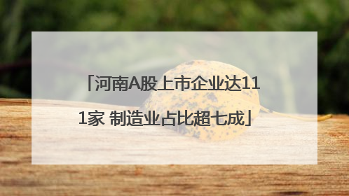 河南A股上市企业达111家 制造业占比超七成