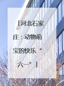 河北石家庄：动物萌宝的快乐“六一”
