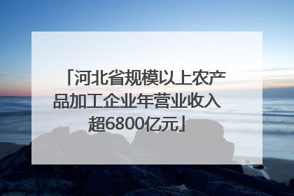 河北省规模以上农产品加工企业年营业收入超6800亿元