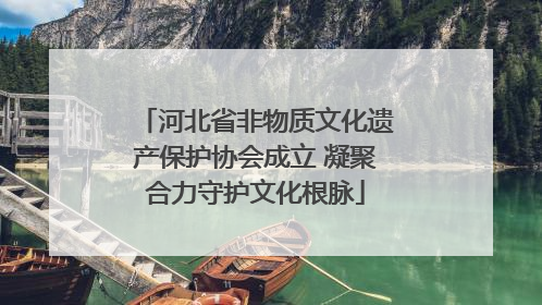 河北省非物质文化遗产保护协会成立 凝聚合力守护文化根脉