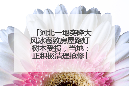 河北一地突降大风冰雹致房屋路灯树木受损，当地：正积极清理抢修