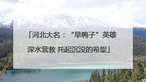 河北大名：“旱鸭子”英雄深水营救 托起沉没的希望