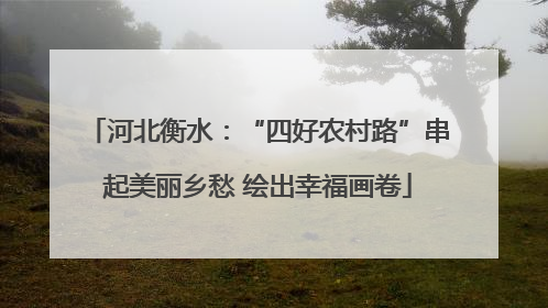 河北衡水：“四好农村路”串起美丽乡愁 绘出幸福画卷