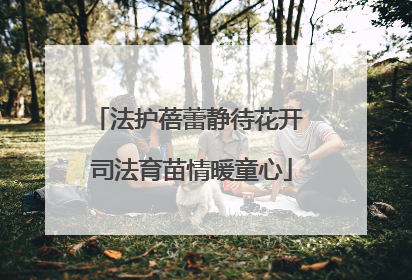 法护蓓蕾静待花开 司法育苗情暖童心