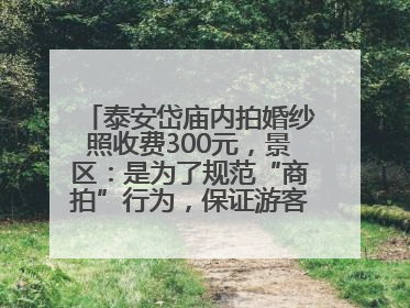 泰安岱庙内拍婚纱照收费300元，景区：是为了规范“商拍”行为，保证游客体验，收取费用全部上交国库