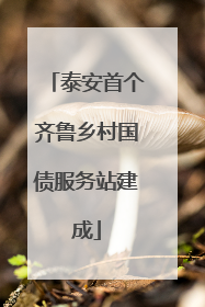 泰安首个齐鲁乡村国债服务站建成