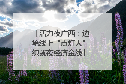 活力夜广西：边境线上“点灯人”织就夜经济金线