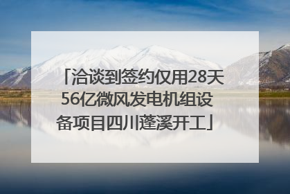 洽谈到签约仅用28天 56亿微风发电机组设备项目四川蓬溪开工