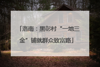 洛南：黑彰村“一地三金”铺就群众致富路