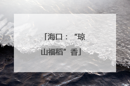 海口：“琼山福稻”香