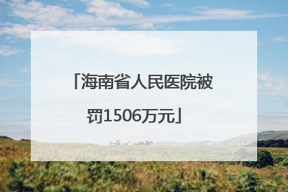 海南省人民医院被罚1506万元