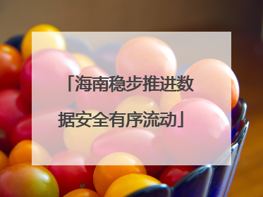 海南稳步推进数据安全有序流动