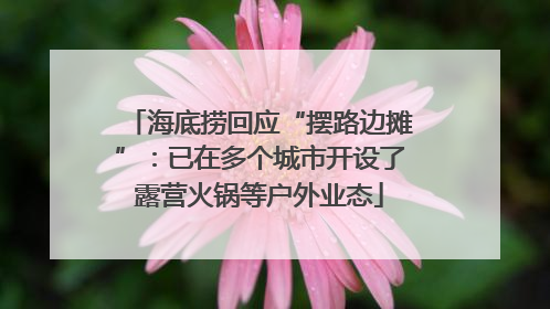 海底捞回应“摆路边摊”：已在多个城市开设了露营火锅等户外业态