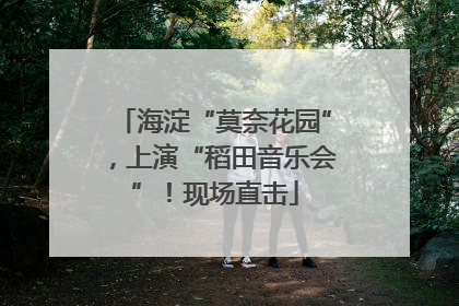 海淀“莫奈花园”，上演“稻田音乐会”！现场直击