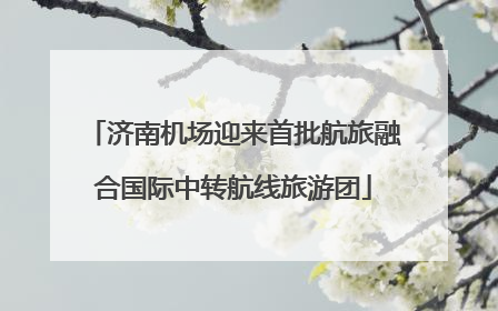 济南机场迎来首批航旅融合国际中转航线旅游团