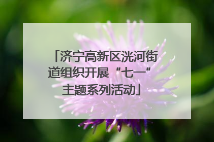 济宁高新区洸河街道组织开展“七一” 主题系列活动
