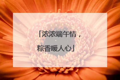 浓浓端午情，粽香暖人心