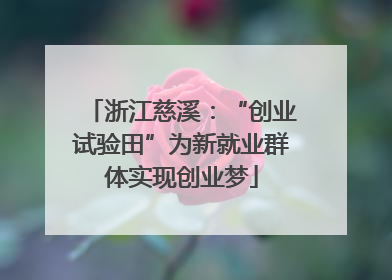 浙江慈溪：“创业试验田”为新就业群体实现创业梦