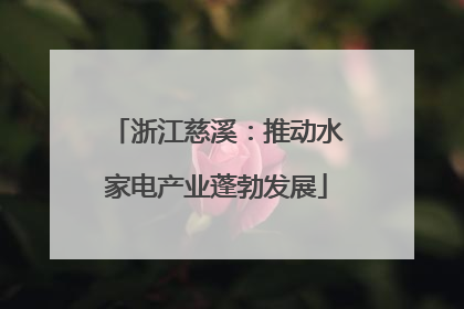 浙江慈溪：推动水家电产业蓬勃发展