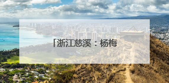 浙江慈溪：杨梅之乡开启丰收季