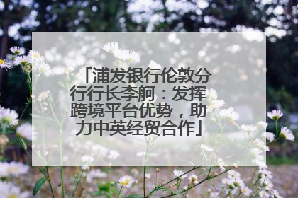 浦发银行伦敦分行行长李舸：发挥跨境平台优势，助力中英经贸合作
