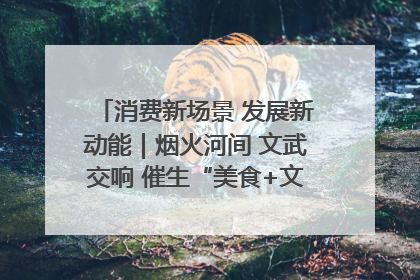消费新场景 发展新动能｜烟火河间 文武交响 催生“美食+文化”消费新场景