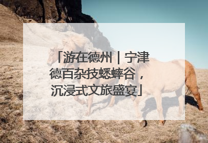 游在德州｜宁津德百杂技蟋蟀谷，沉浸式文旅盛宴