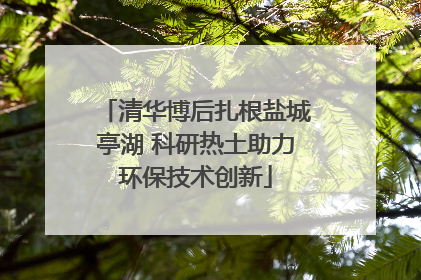 清华博后扎根盐城亭湖 科研热土助力环保技术创新
