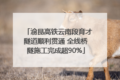 渝昆高铁云南段育才隧道顺利贯通 全线桥隧施工完成超90%