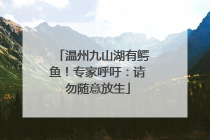 温州九山湖有鳄鱼！专家呼吁：请勿随意放生