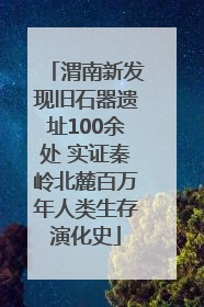 渭南新发现旧石器遗址100余处 实证秦岭北麓百万年人类生存演化史