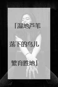 湿地芦苇荡下的鸟儿繁育胜地