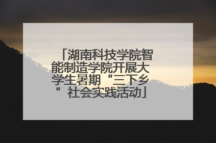 湖南科技学院智能制造学院开展大学生暑期“三下乡”社会实践活动