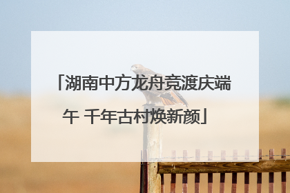 湖南中方龙舟竞渡庆端午 千年古村焕新颜