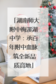 湖南师大附中梅溪湖中学：承百年附中血脉 筑全新品质高地