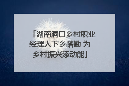 湖南洞口乡村职业经理人下乡踏勘 为乡村振兴添动能