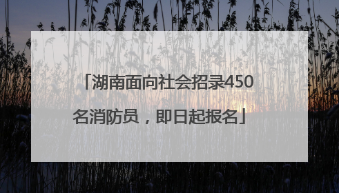 湖南面向社会招录450名消防员，即日起报名