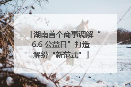 湖南首个商事调解“6.6 公益日”打造解纷“新范式”