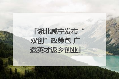 湖北咸宁发布“双创”政策包 广邀英才返乡创业